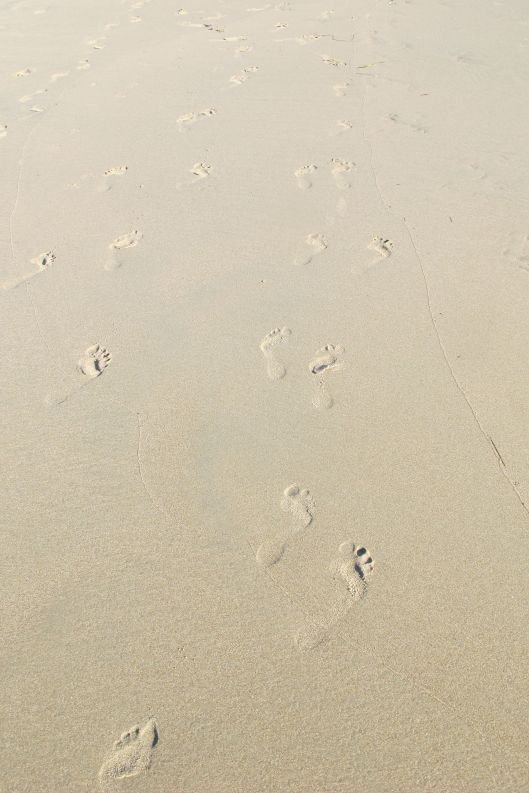 Footprints ©Judith A. Ross
